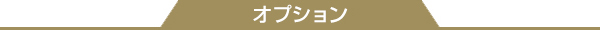 オプション
